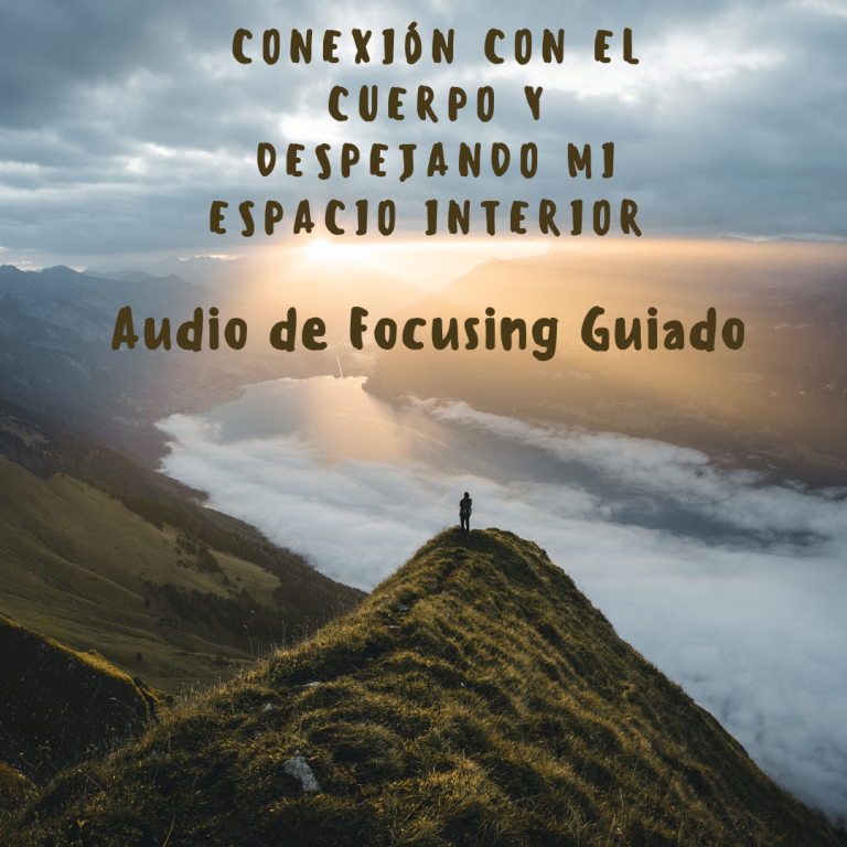 Audio-de-Focusing-Guiado-2